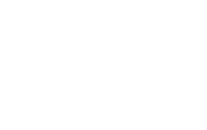NTS 2025 White Logo